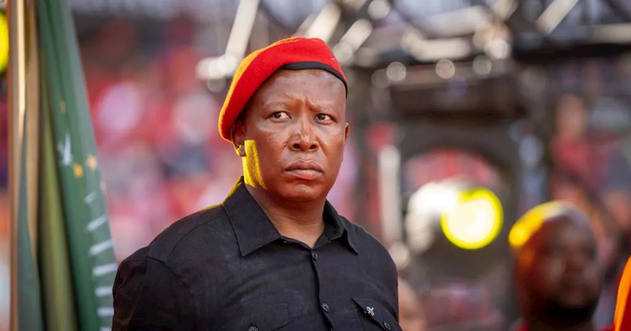 EFF Supporters to March in Johannesburg as Constitutional Court Hears Phala Phala Scandal Case