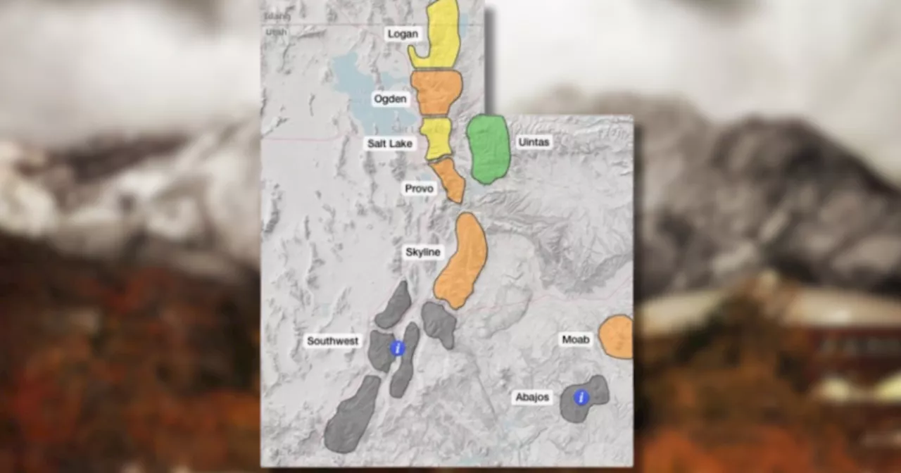 Human-triggered avalanches likely as warnings issued during storm