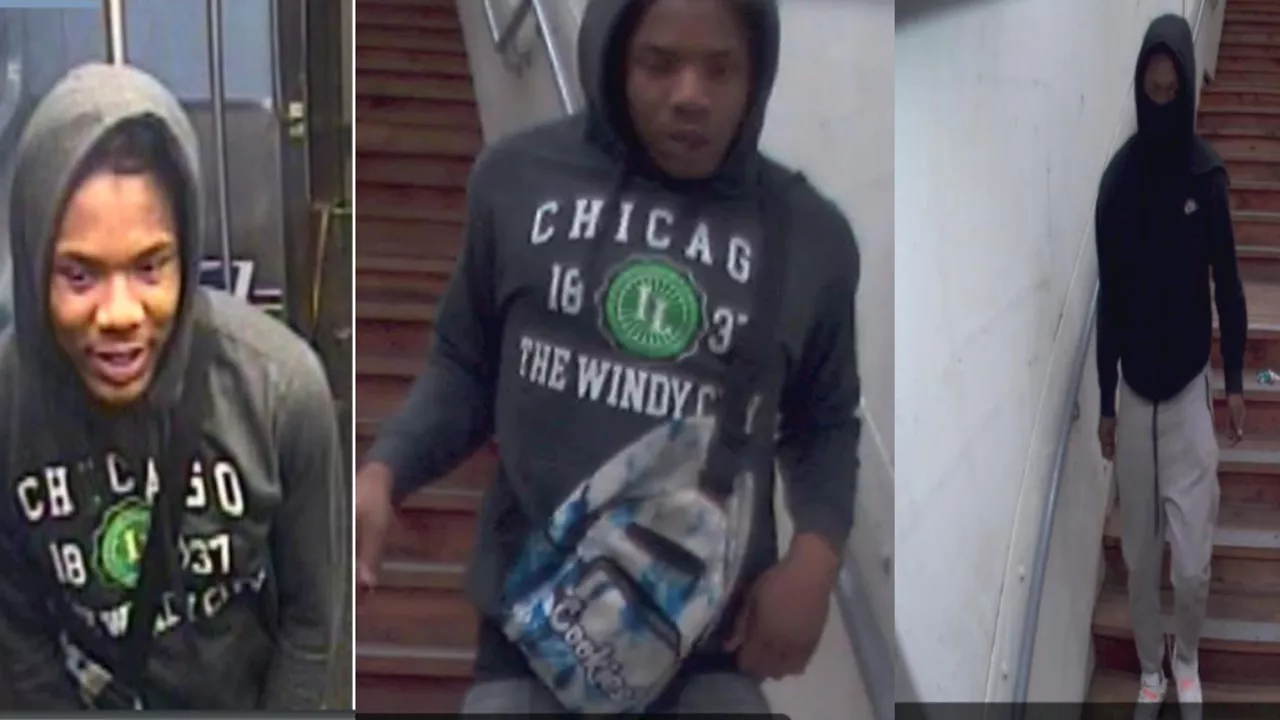 Chicago police seek 2 people who tried to rob CTA Red Line passenger