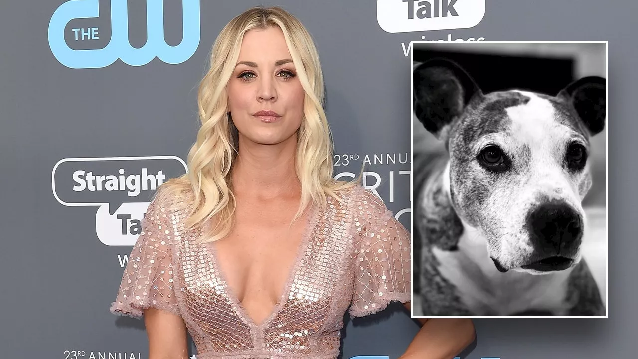 Kaley Cuoco Explains 'Excruciating' Decision to Rehome Her Dog Following Shirley's Death