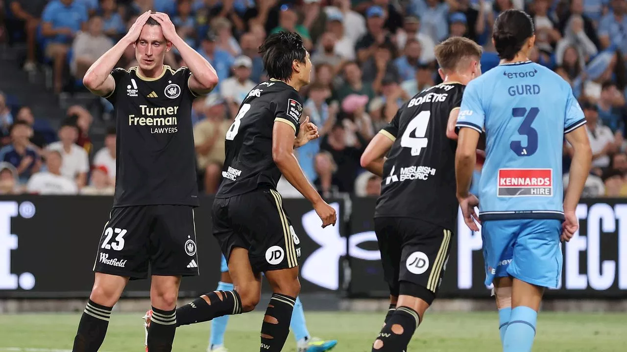 ‘Business as usual has failed’: A-League players’ scathing survey as football’s issues laid bare