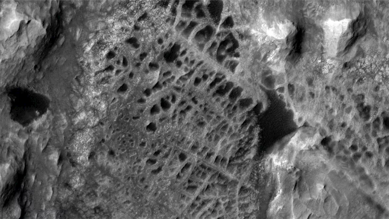 NASA Mars Rover Exploring Spiderweb-Like Patterns on Mars