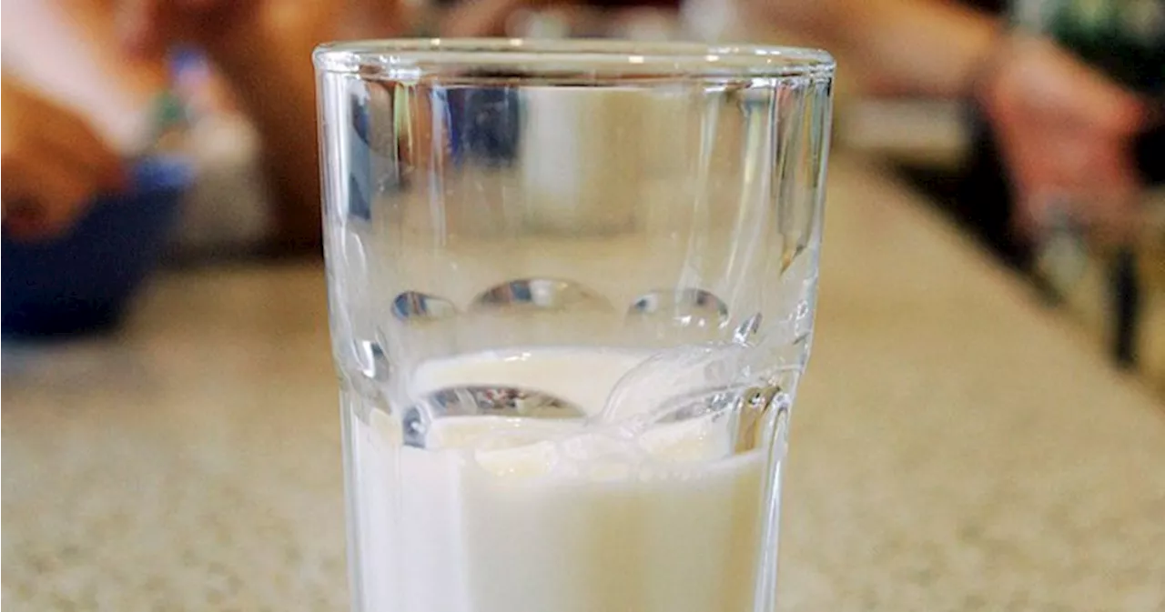 Bird flu virus detected in raw milk from California dairy prompts recall