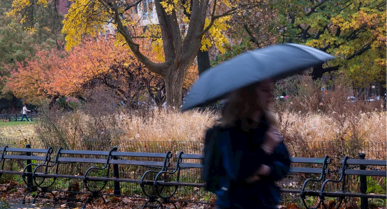 Thanksgiving weather report for NYC area: rain and chilly temperatures