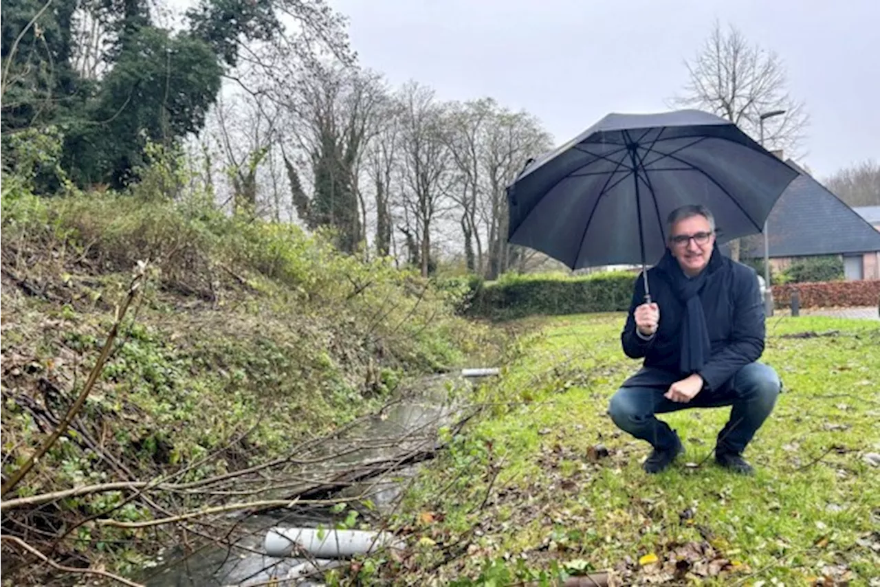 Pidpa ruimt overstromingsgevoelige gracht op in Klein-Willebroek: “Deze gracht krijgt heel wat water te slikke