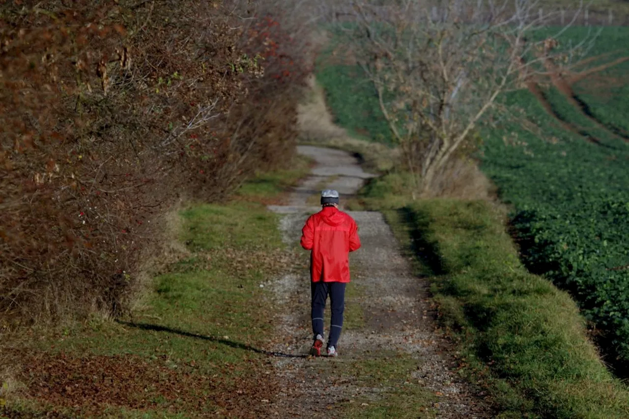 Laufen macht schlau: Was Joggen mit unserem Gehirn macht