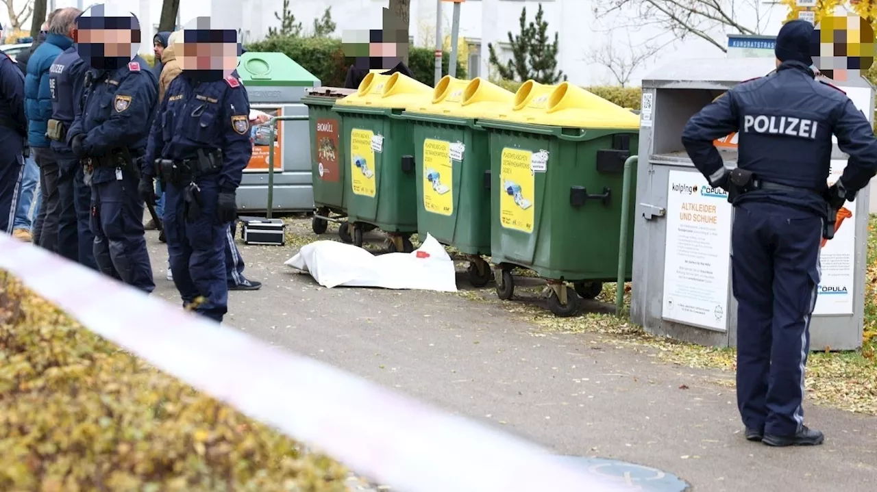 Tote Neugeborene und Mutter in Untersuchungshaft