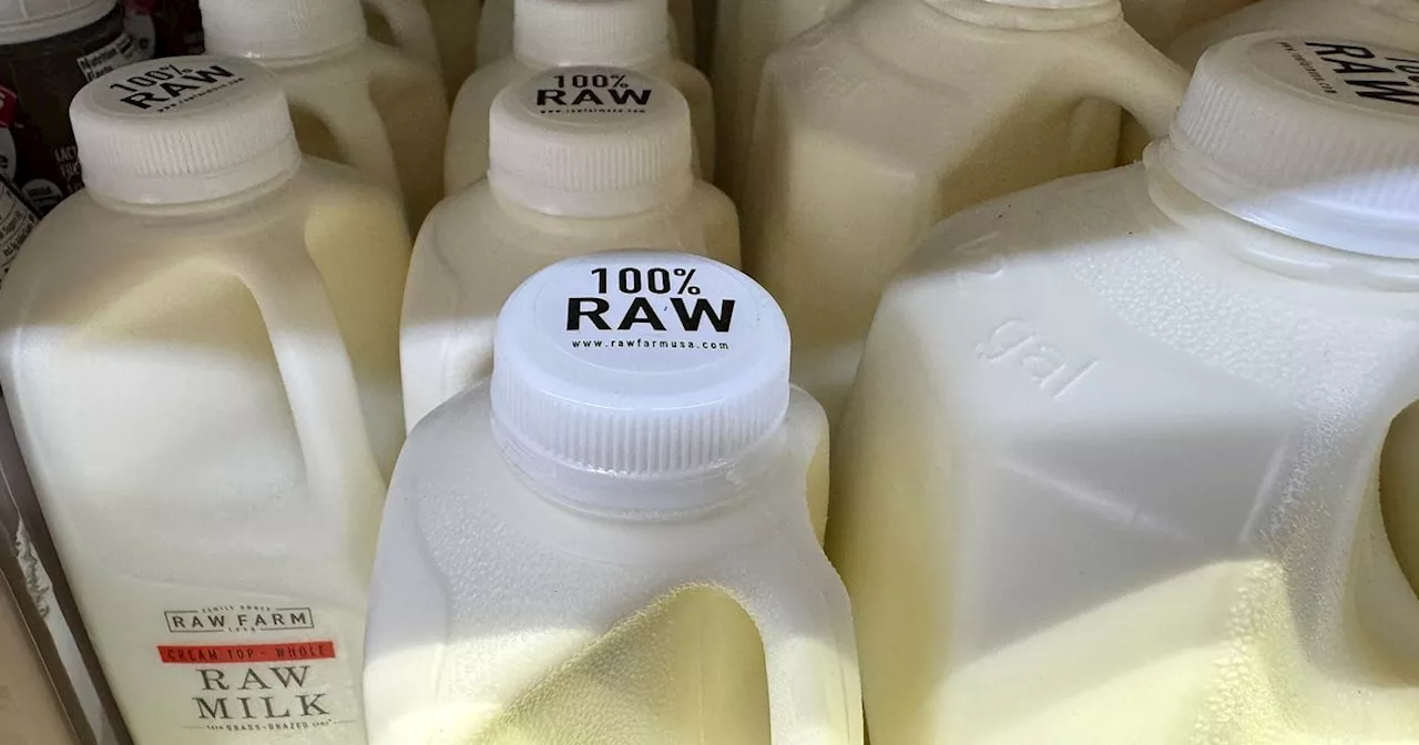 Bird Flu Virus Detected In Raw Milk From California