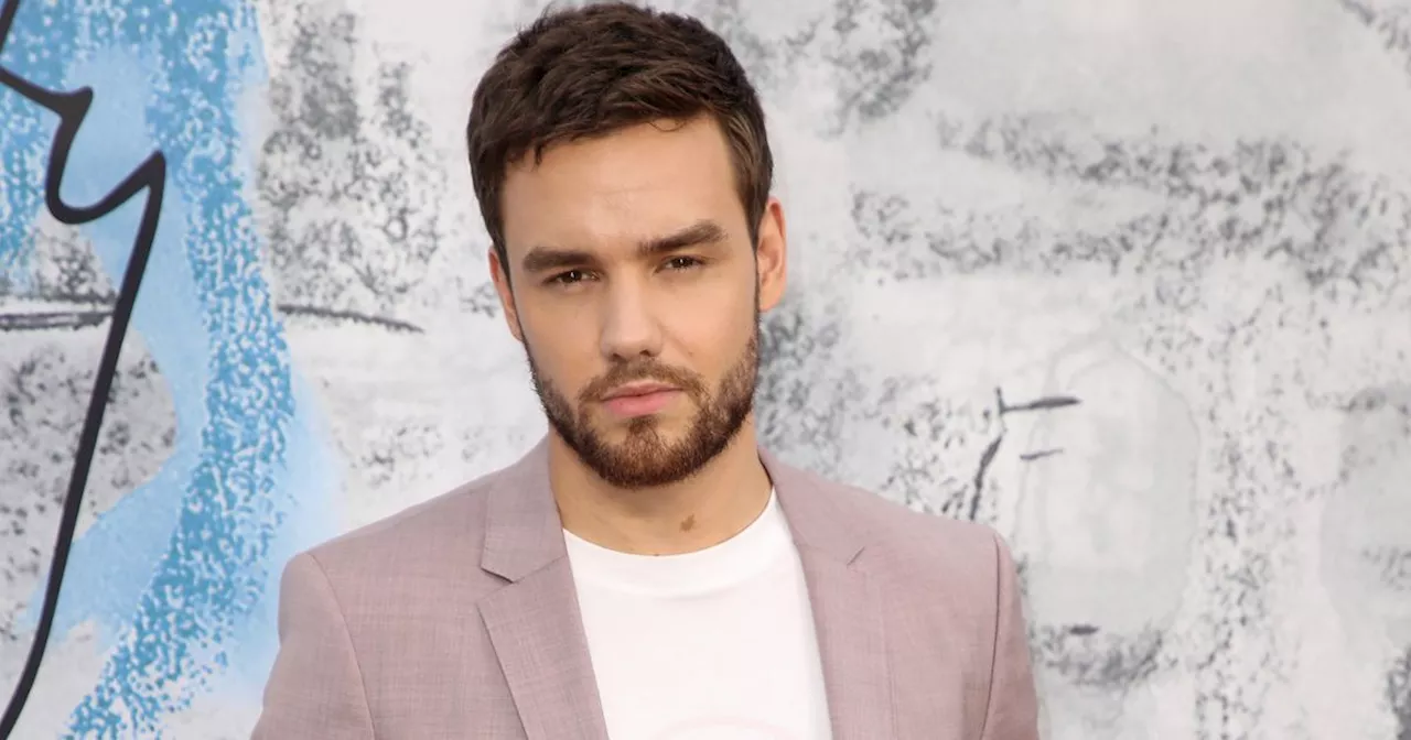 Liam Payne's Tragic Fall While Trying to Escape Hotel