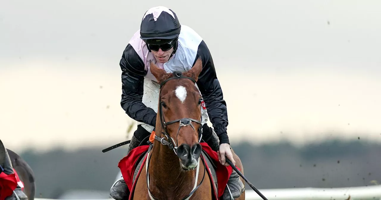 Sunday's Bar One Racing Hatton's Grace Hurdle Faces Farcical Scenario