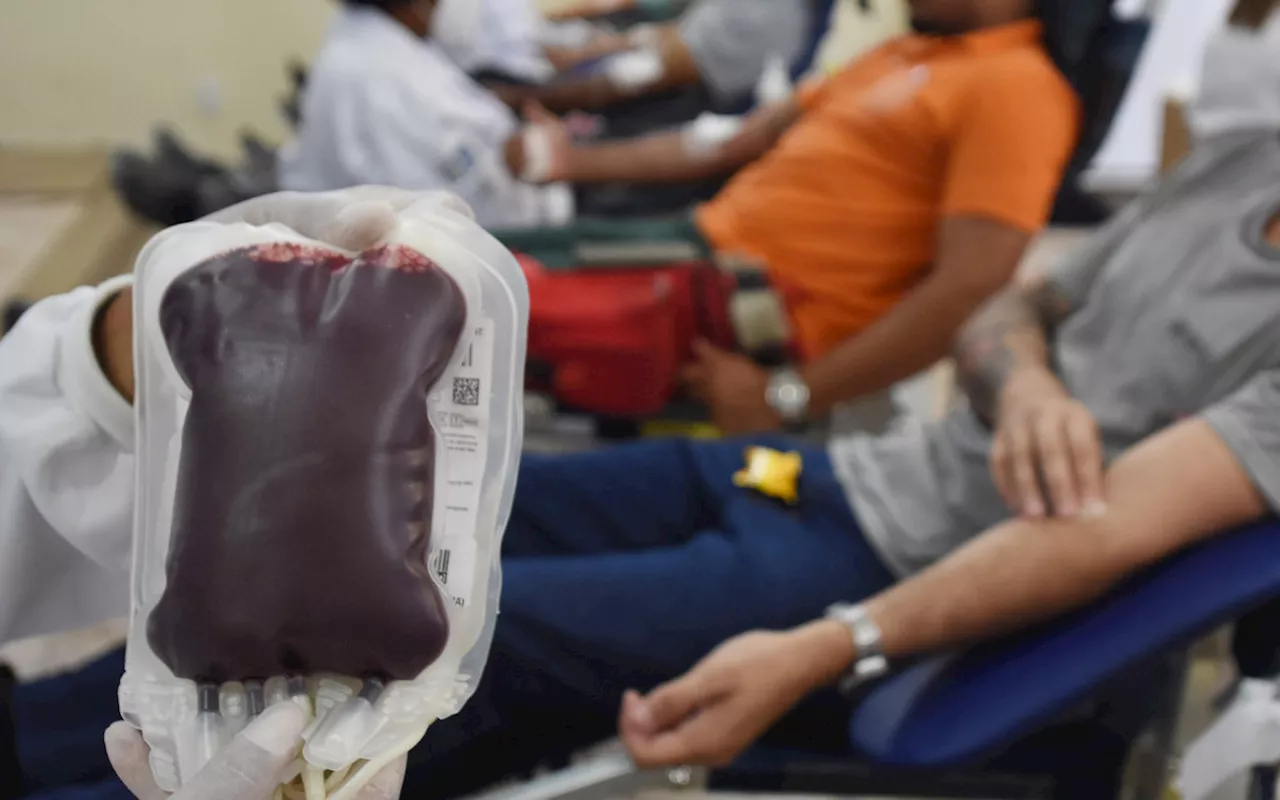 Hospitais e hemocentros do Rio promovem campanha de doação na Semana Nacional do Doador de Sangue