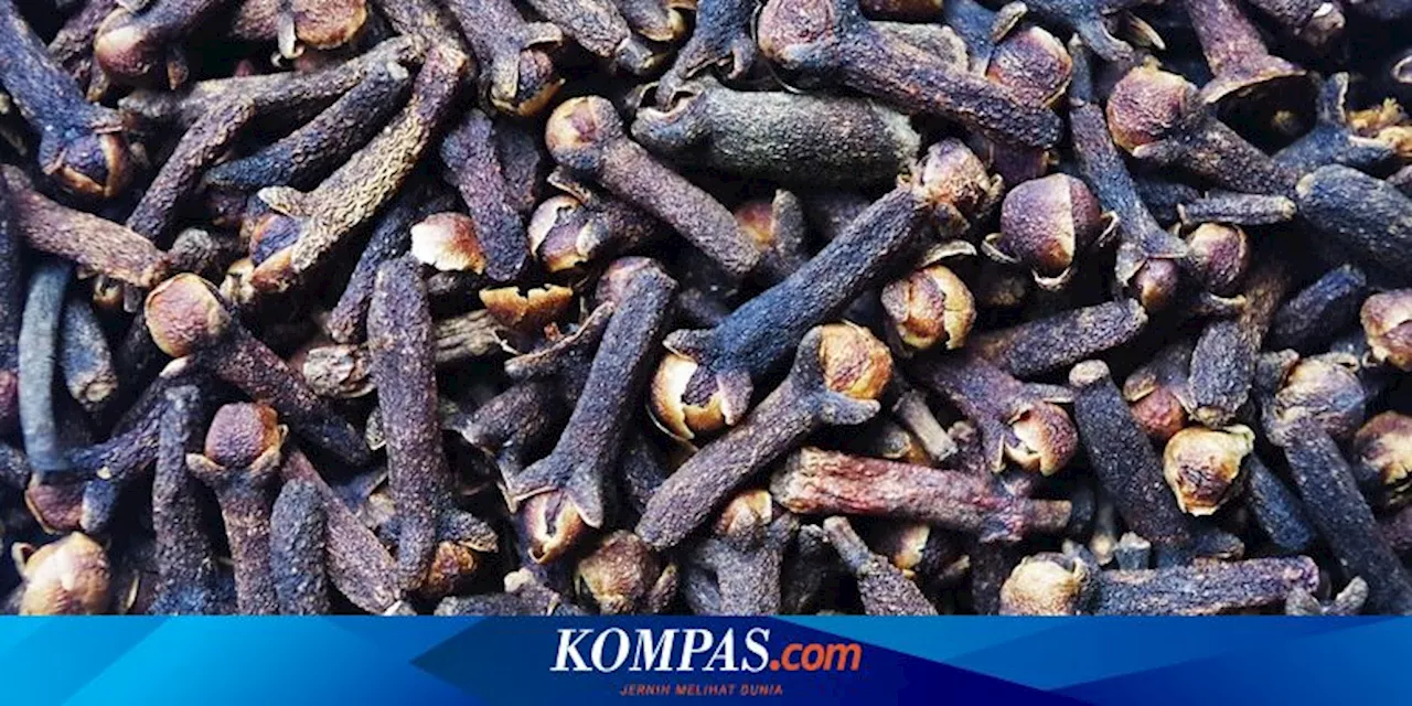 Manfaat Cengkih, Berpotensi Menyembuhkan Penyakit Apa Saja?