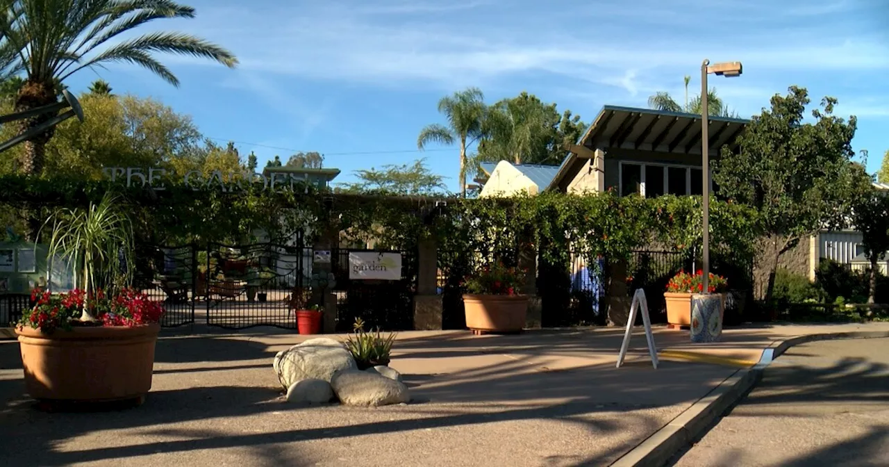 East County's Water Conservation Garden celebrates its 25th anniversary