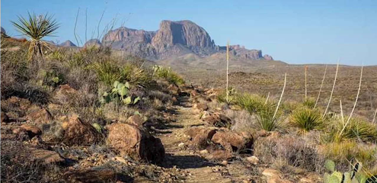 Children among 13 migrants rescued by U.S. Border Patrol agents in Big Bend National Park