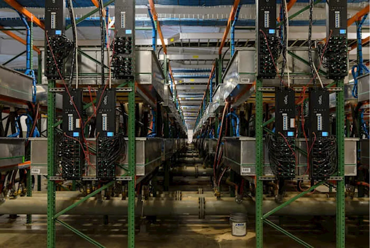 Crypto miners must register with state and reveal power usage under new Texas rule