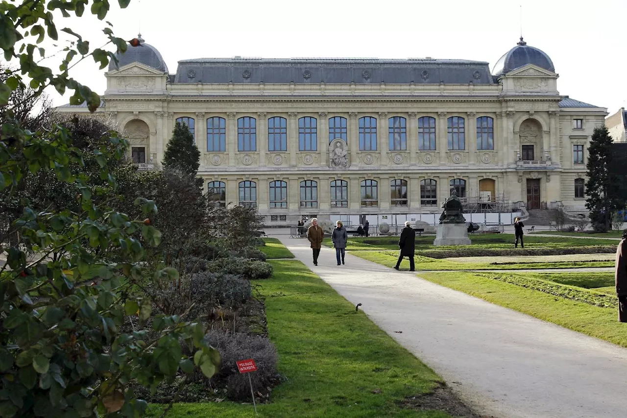 Le Musée de l'Homme explore l'odyssée humaine des migrations