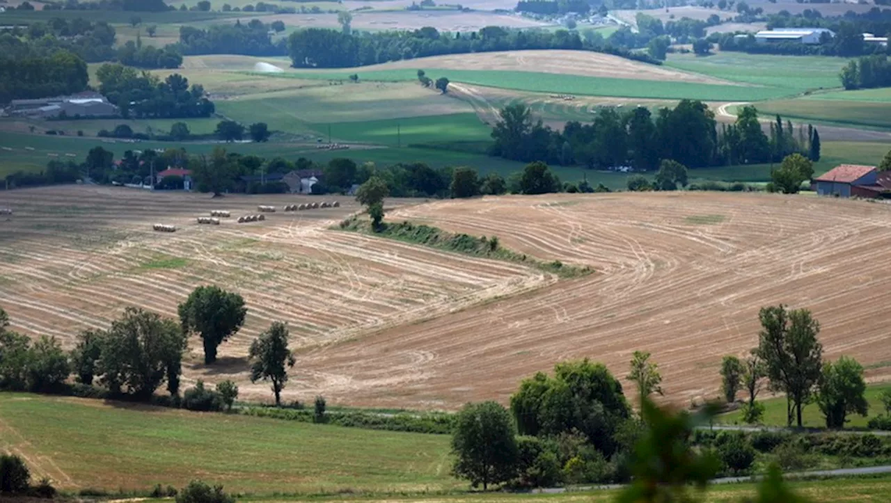 Avec Toopi, le lycée agricole de Pamiers expérimente l’urine comme fertilisant