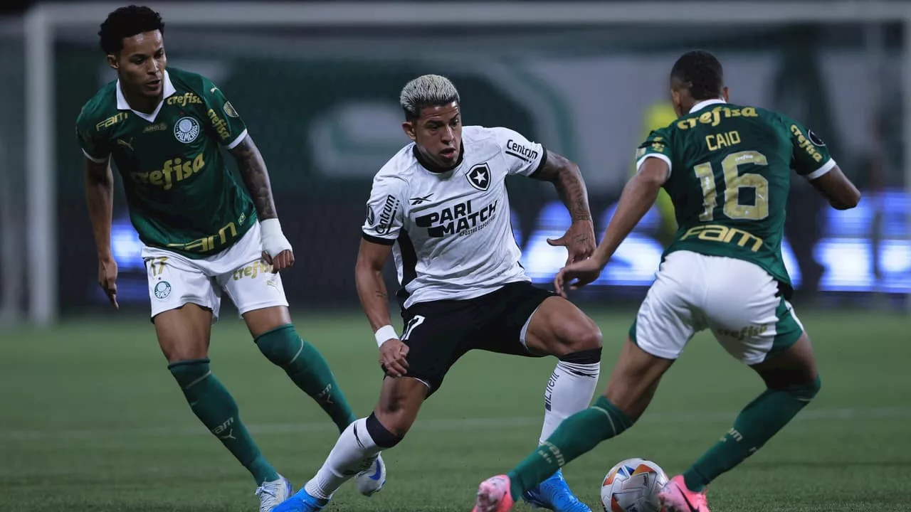 Palmeiras x Botafogo: vidente crava favorito para jogo decisivo no Brasileirão