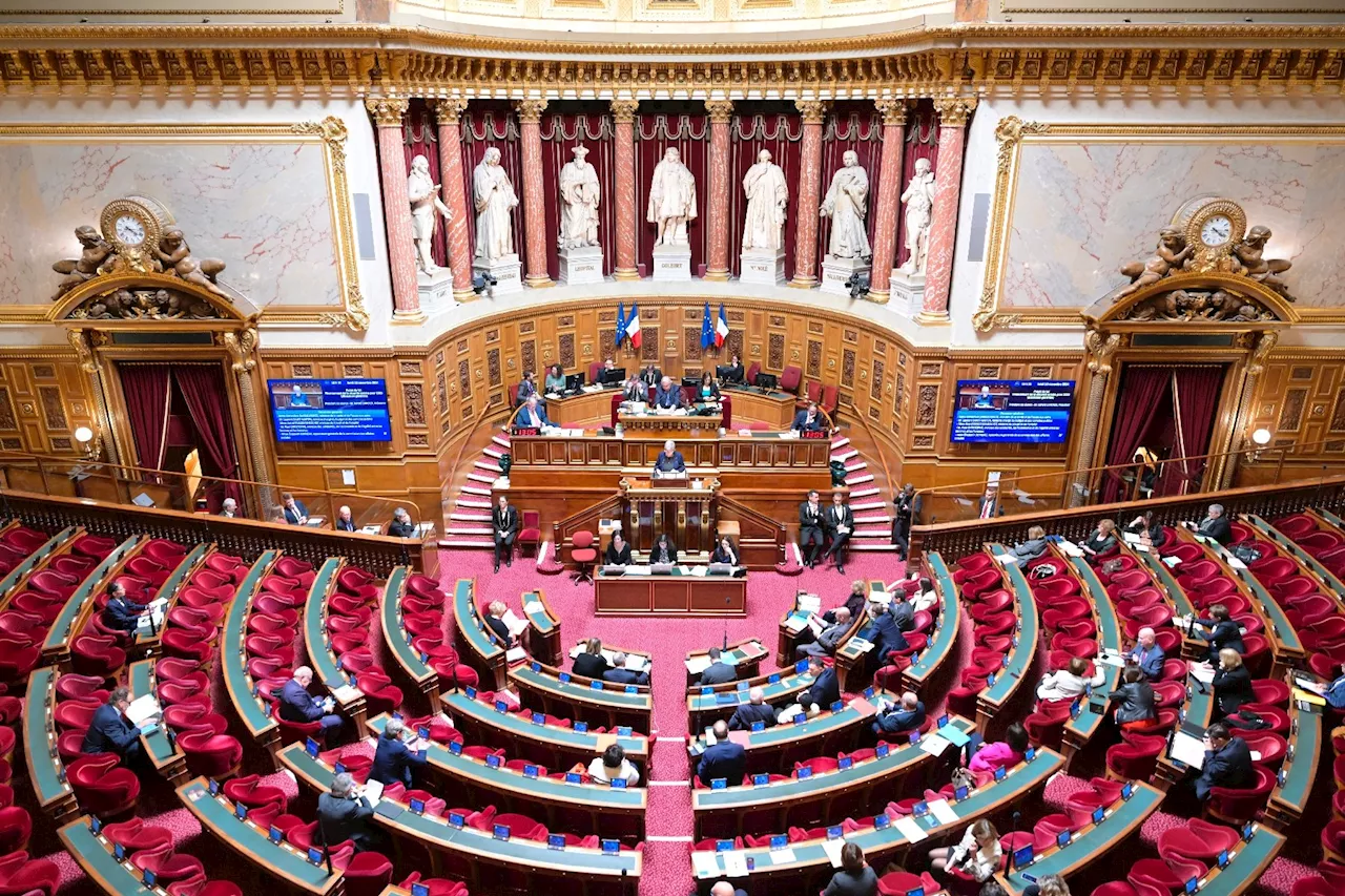 Budget: le Sénat valide la taxe sur les hauts revenus et alourdit la fiscalité du capital