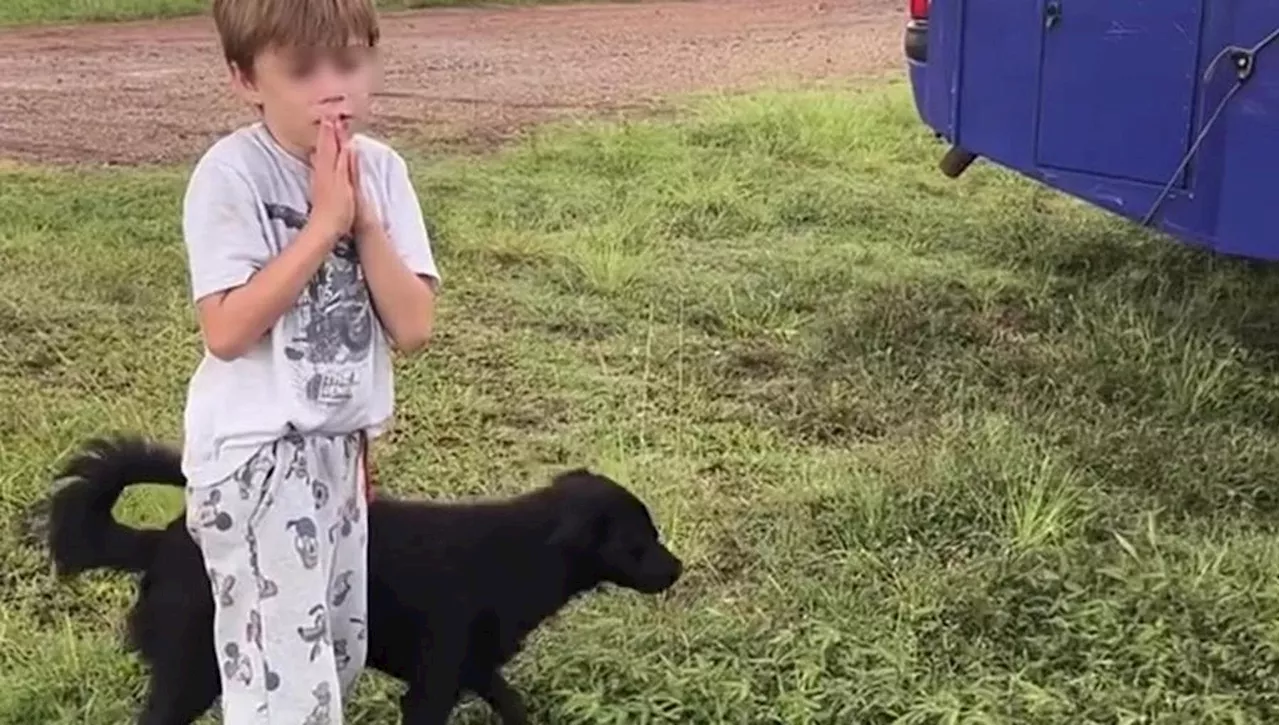 Il cane randagio spuntato dal nulla trova un camper come casa e un bambino che prega per adottarlo