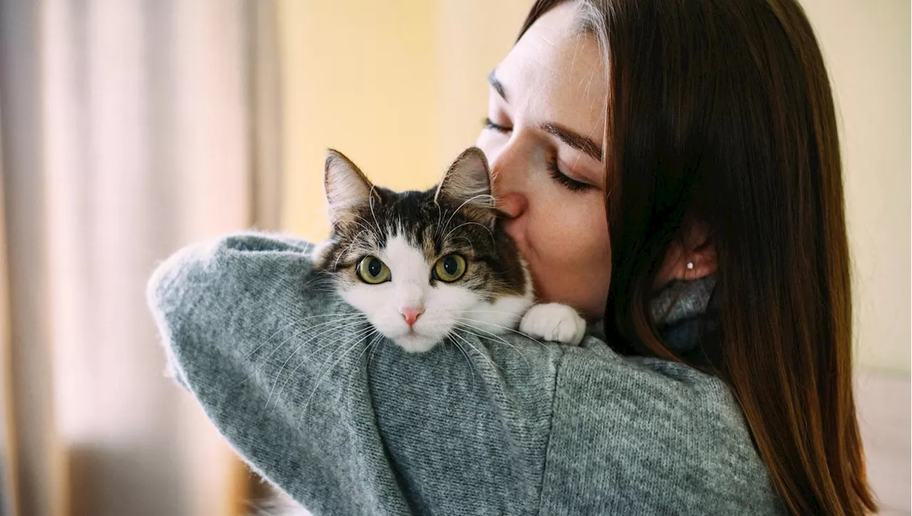 Interagire con Animali da Compagnia Migliora Benessere Emotivo e Fisico