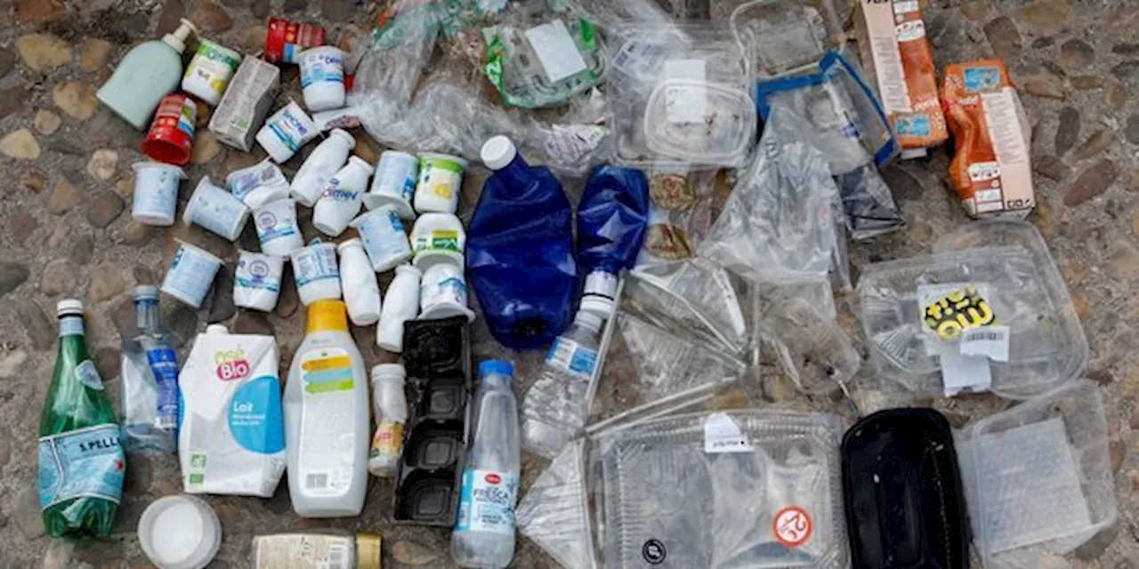 Retards Dans Les Projets De Recyclage Chimique Du Plastique En France