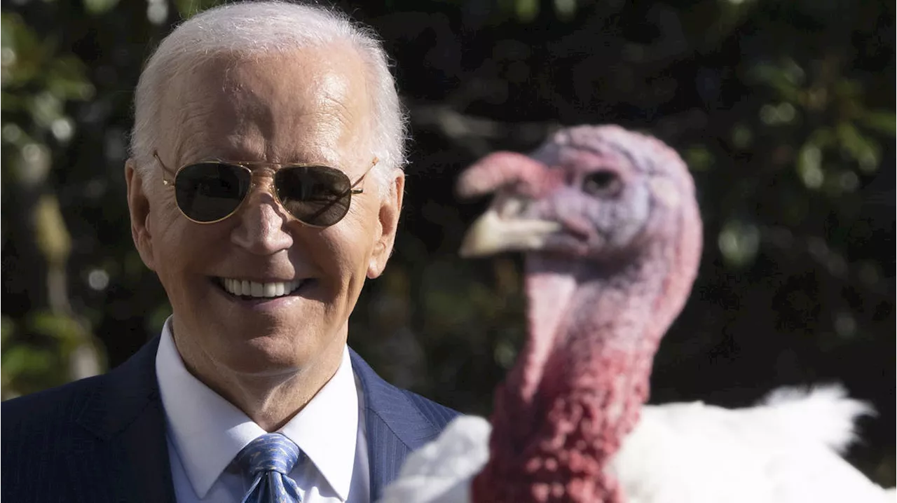 Joe Biden begins final White House holiday season with turkey pardons