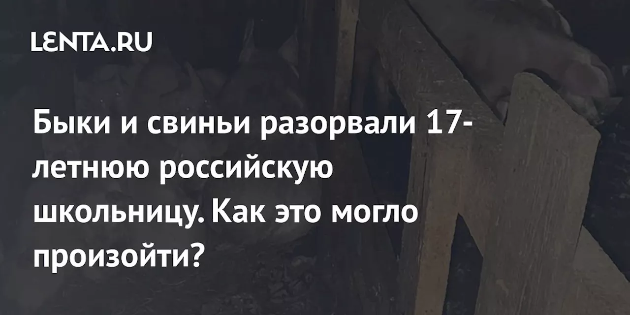 Быки и свиньи разорвали 17-летнюю российскую школьницу. Как это могло произойти?