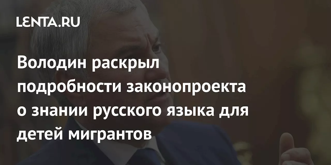 Володин раскрыл подробности законопроекта о знании русского языка для детей мигрантов