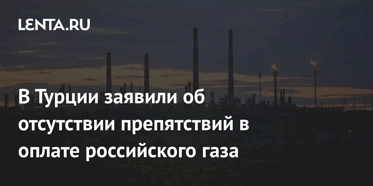 В Турции заявили об отсутствии препятствий в оплате российского газа