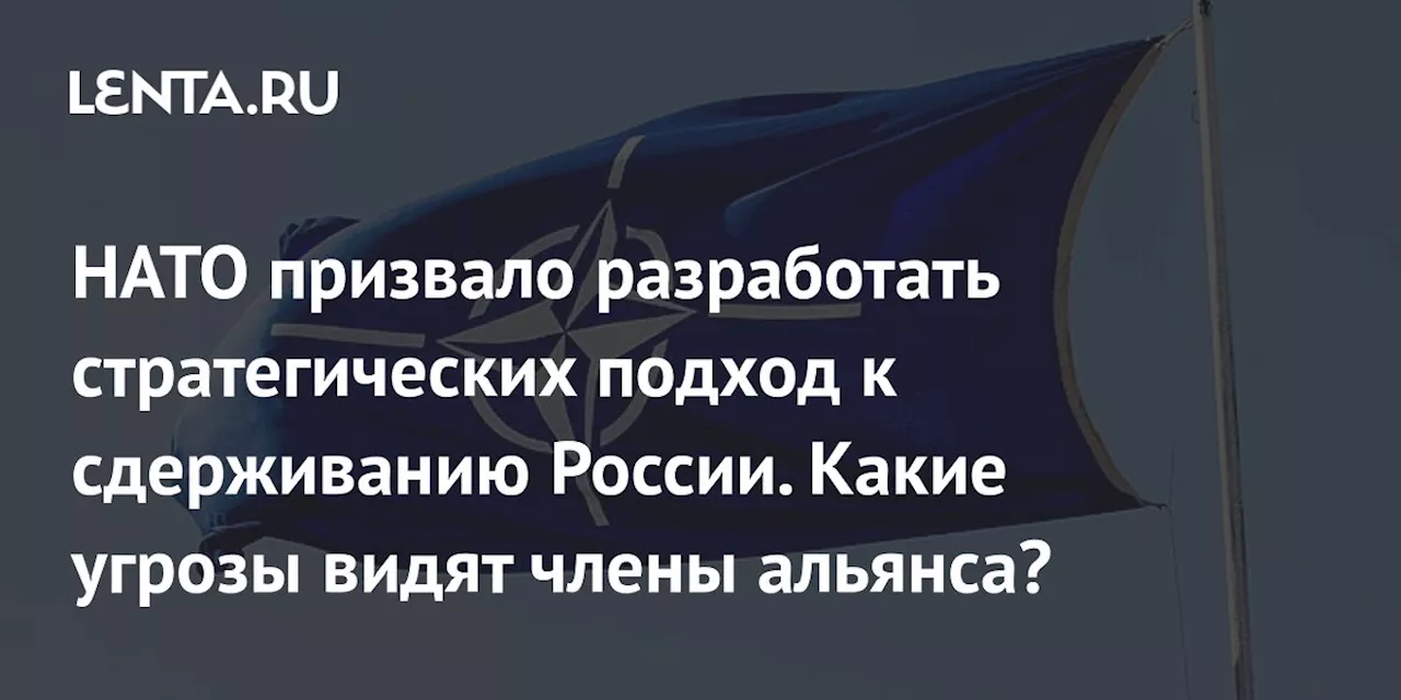 НАТО призвало разработать стратегических подход к сдерживанию России. Какие угрозы видят члены альянса?