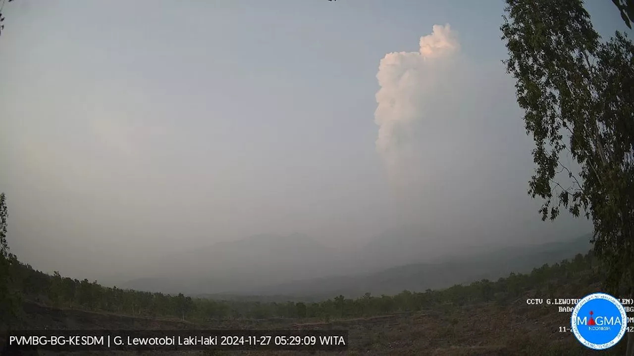 Gunung Lewotobi Laki-Laki Meletus Lagi, Kolom Abu Capai 2.500 Meter, Bagaimana Pilkada?