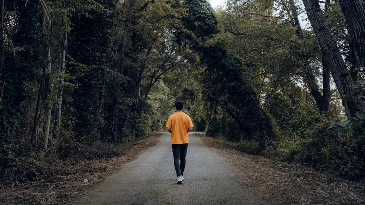 Manfaat Jalan Kaki Sederhana untuk Kesehatan, Pelajari Kebutuhan untuk Aktivitas Sesuai Waktu Terbaik