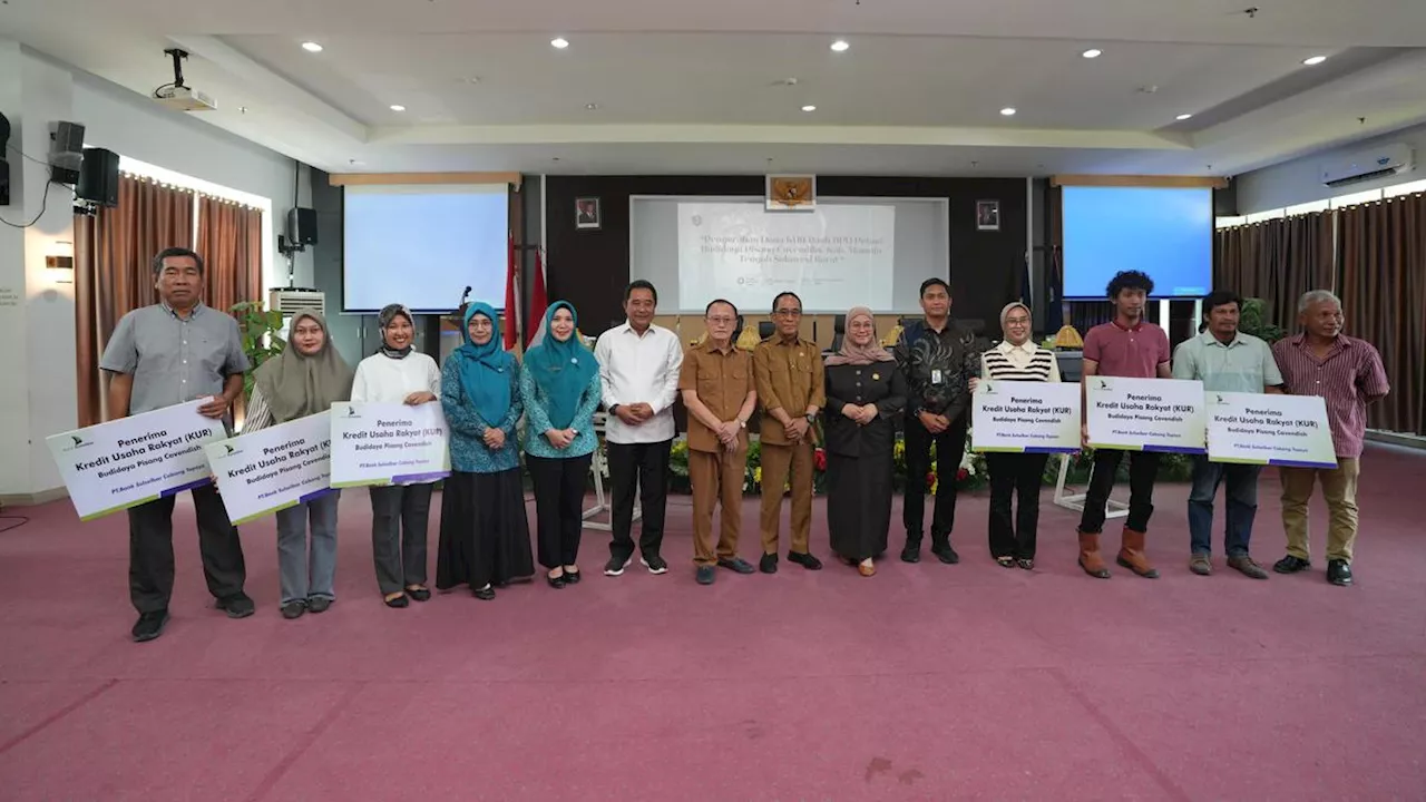 Petani Pisang Cavendish di Mamuju Tengah Dapat Suntikan Dana KUR dari Pemprov Sulbar