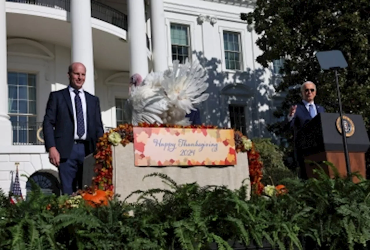 ‘Keep calm and gobble on’: Biden holds final White House turkey pardon as presidency winds down