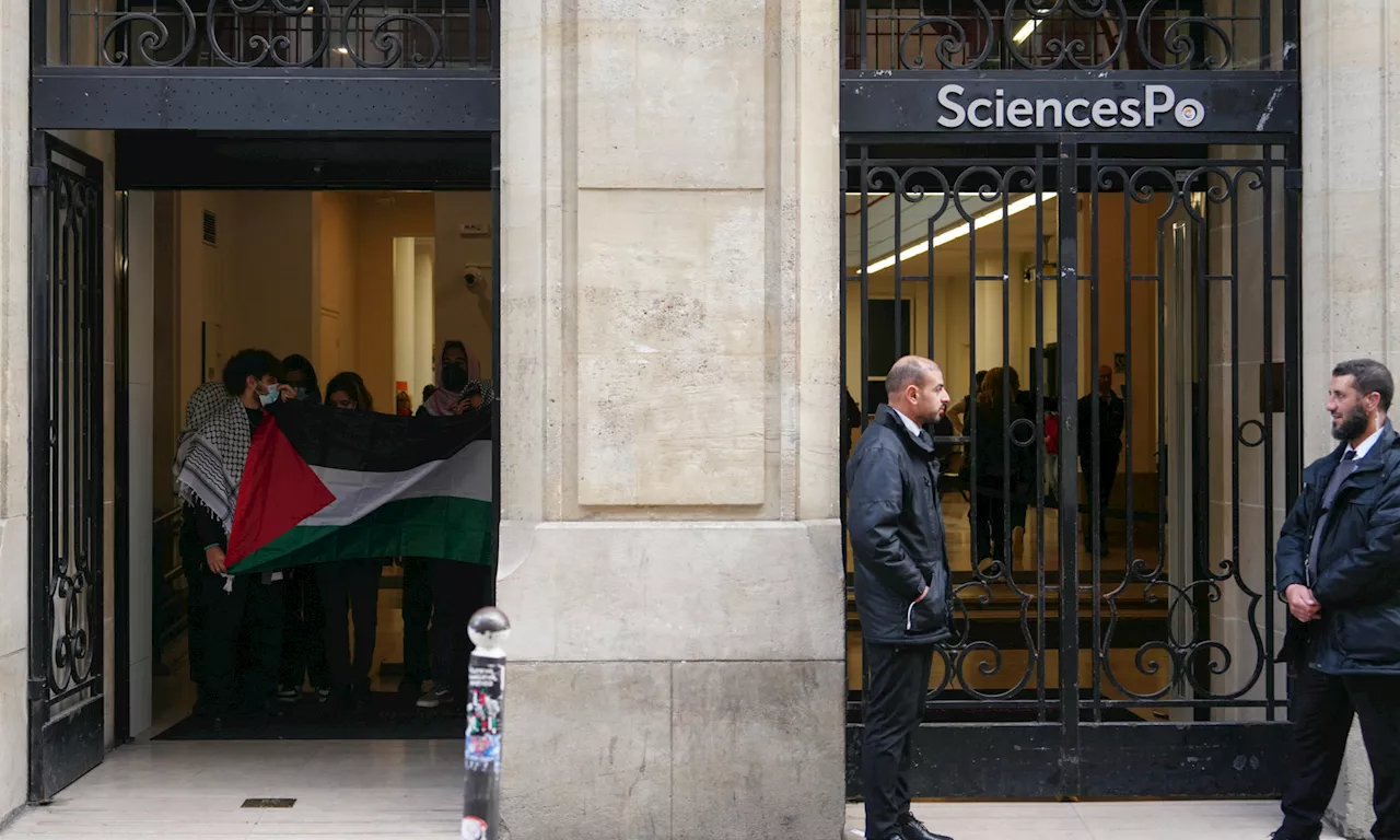 'Les humanités attaquées' : Pierre-André Taguieff et Jean Szlamowicz face au militantisme en sciences sociales