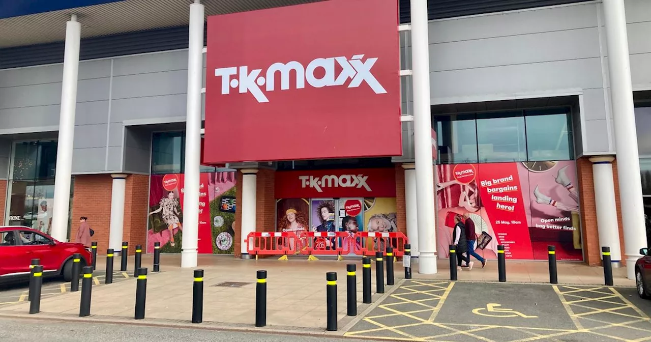 Famous collectible bears discounted by £700 at TK Maxx