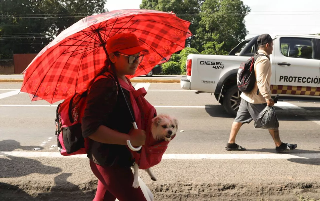 Caravana Migrante Continúa su Viaje hacia Oaxaca