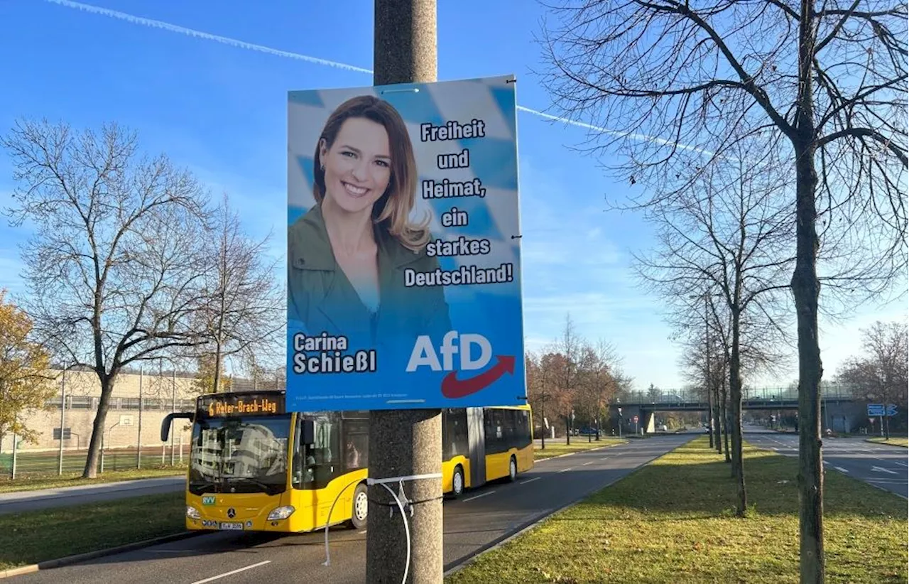 AfD und Wagenknecht-Partei legen Schnellstart hin: In Regensburg hängen die ersten Wahlplakate