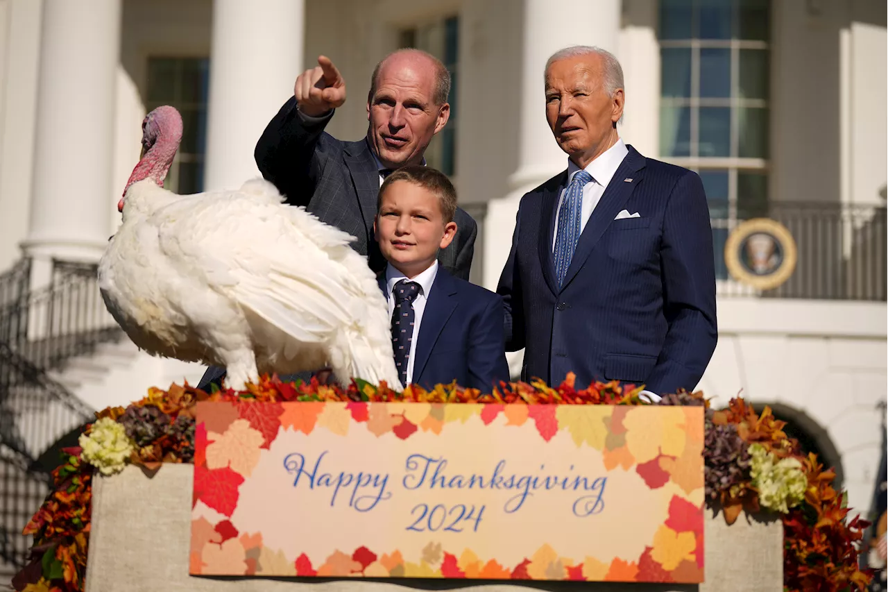 President Biden Pardons Thanksgiving Turkeys Peach and Blossom