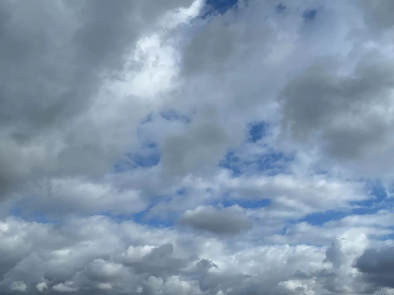 Light showers, gusty winds expected in San Diego County