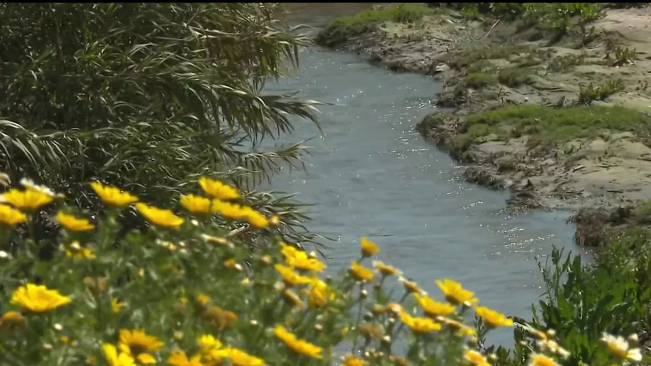 South Bay residents hope pollution survey sparks action from federal government