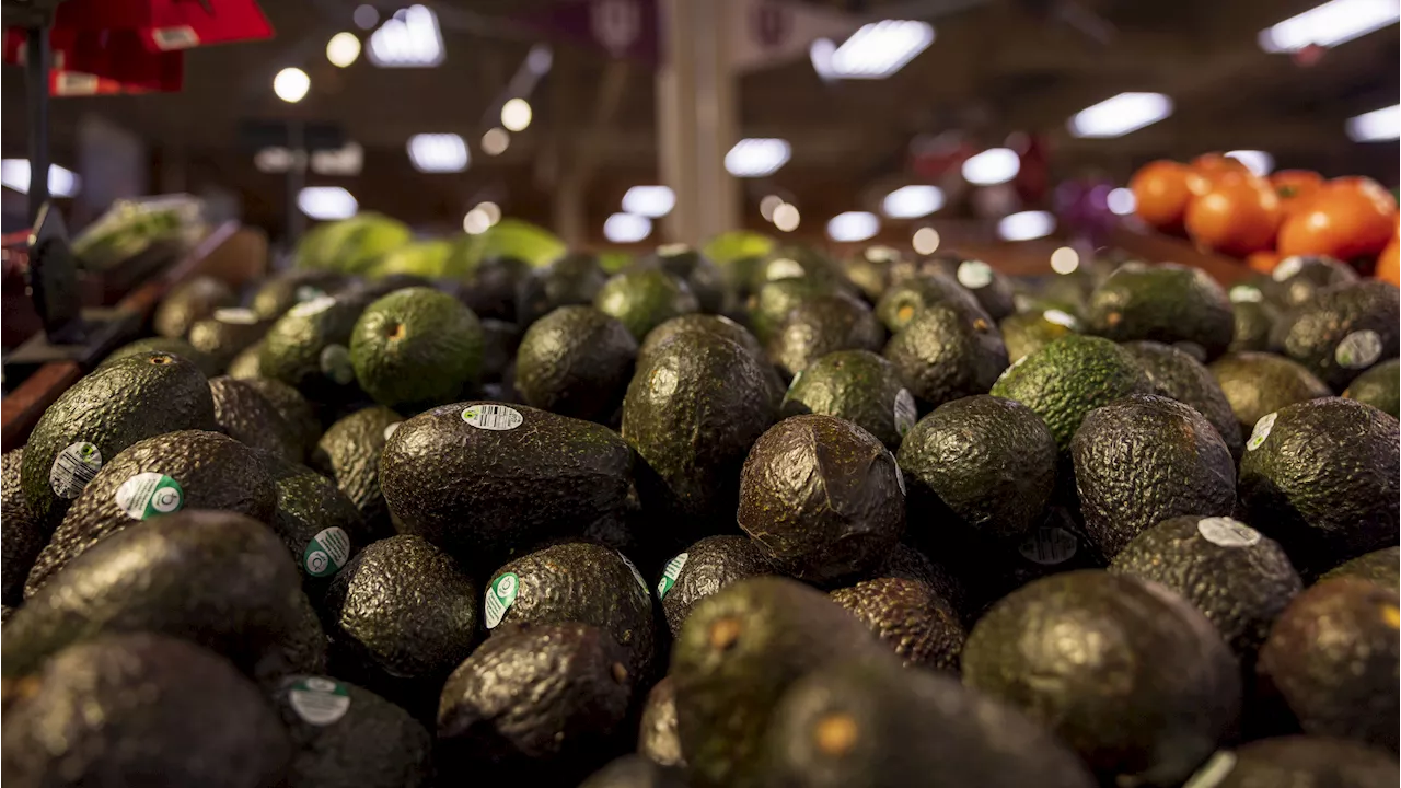 Mexico Dominates U.S. Vegetable and Fruit Imports, Affecting Grocery Prices