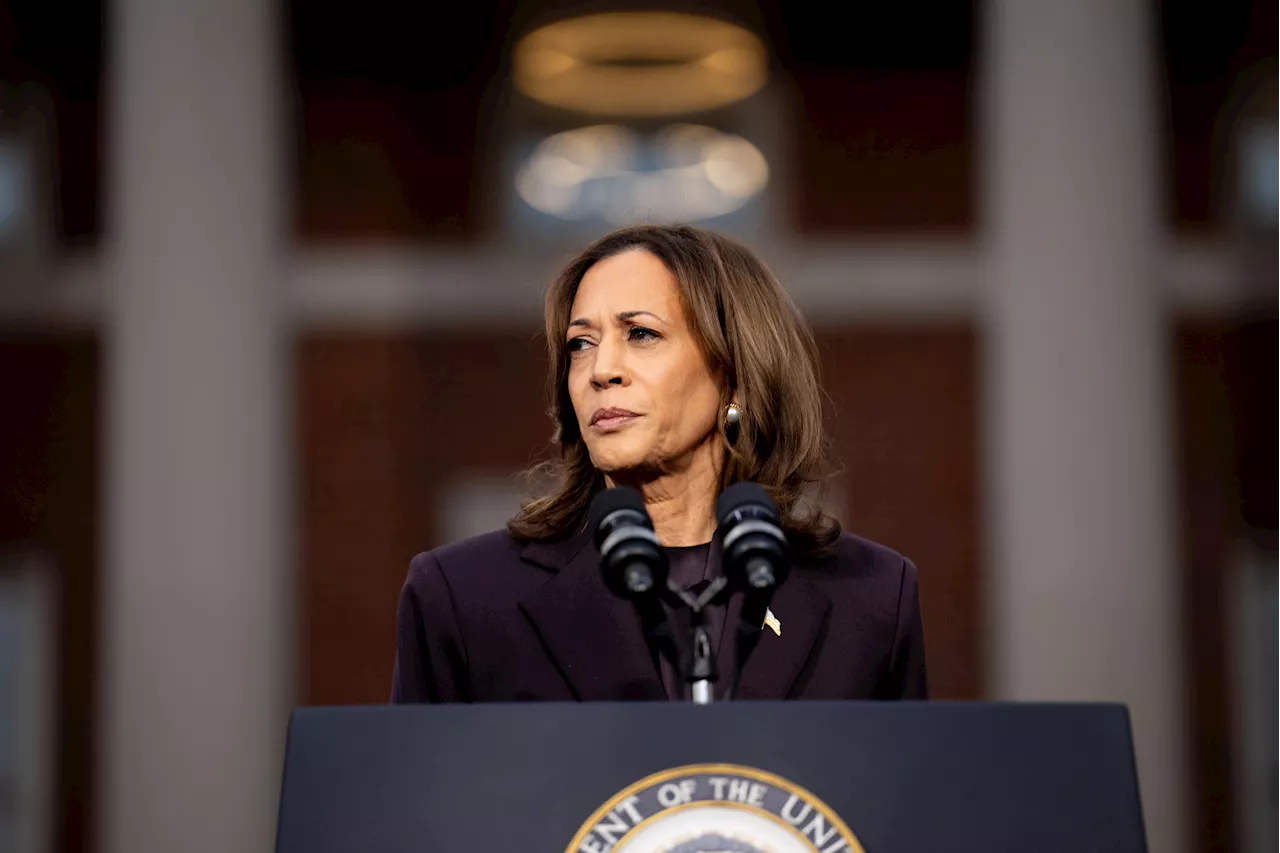 Kamala Harris' Campaign Money 'Maybe Legally' Stolen—Democrat Megadonor