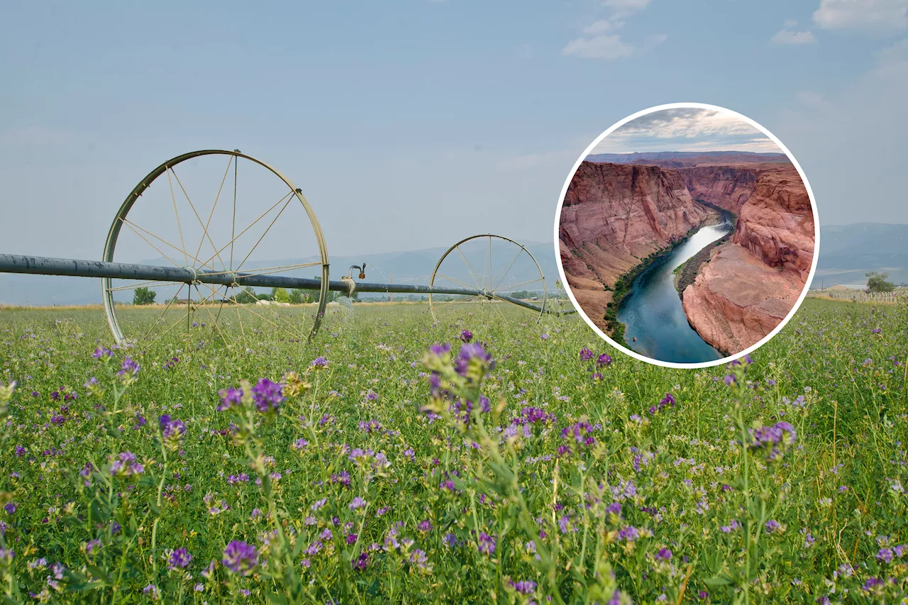 Saving the Colorado River: Utah Farmers Lead With Drought-Resilient Methods