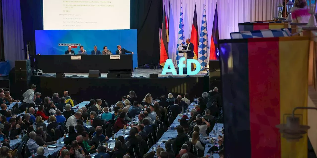 Entsetzen In Bayern: AfD Beschließt Auf Parteitag Resolution Zur ...