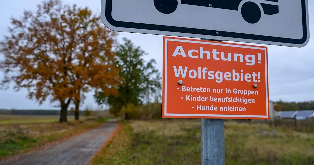 209 Wolfsrudel leben in Deutschland