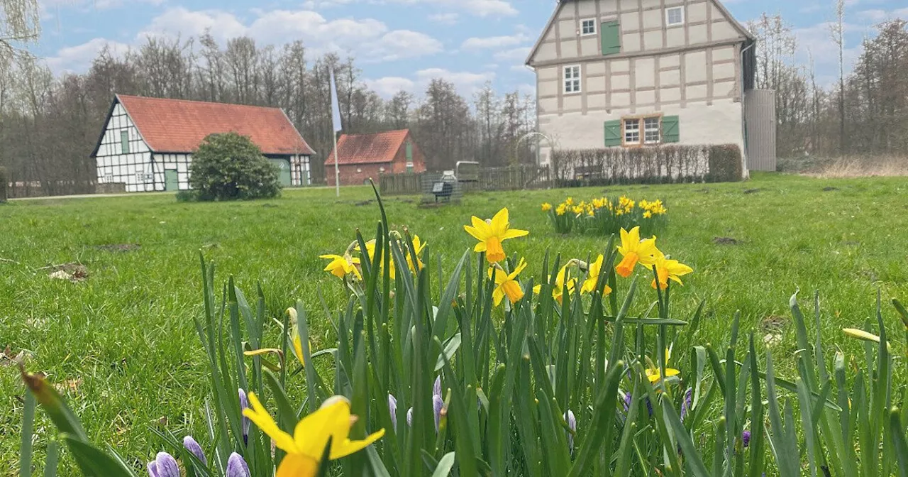 Diese Gebäude in Spenge sind bei Starkregen besonders gefährdet