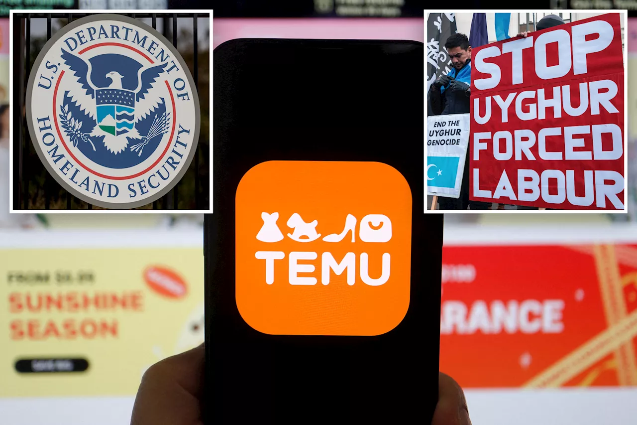  China's Temu spies on users, under DHS investigation over forced-labor violations: official