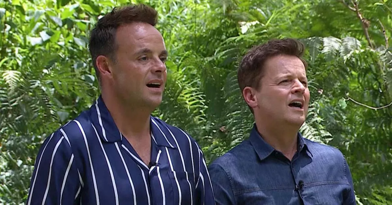 I'm A Celeb 'chaos' as Ant and Dec exhausted amid gruelling filming schedule